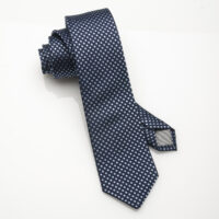 Silk Tie Navy Regular Dot Silk Tie
