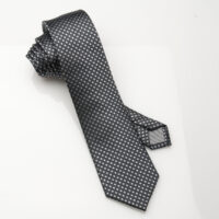 Silk Tie Navy Regular Dot Silk Tie