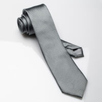 Silk Tie-Ottoman Weave-Silver-0